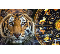 Значение и символизм тигра, приметы