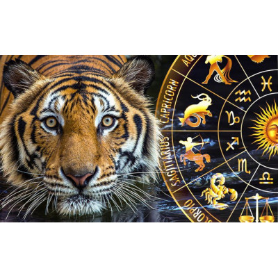 Тигри і все що вони символізують