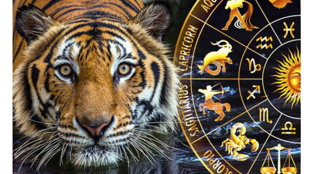 Значення і символізм тигра, прикмети