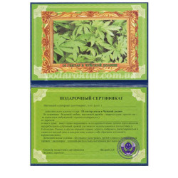 Подарочный сертификат 10 гектар в чуйской долине