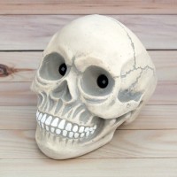 Череп попільничка S (сіро-бежевий) №10557 Череп попільничка S (сіро-бежевий) №10557