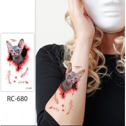 Перекладне татуювання “Сфінкс з розривом шкіри” — водостійкий тимчасовий тату-стікер для Хелловіну, 105×60 мм