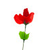 Сувенір Трусики жіночі Троянда (червона)