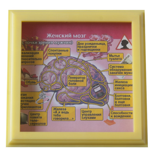 Рамка №2957 Женский мозг