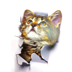 Інтер'єрна наклейка 3D Кіт XH2001 25х16, 5см