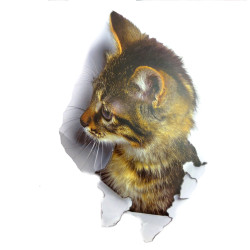 Інтер'єрна наклейка 3D Кішка XH2002 25х16, 5см