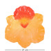 CMS-05/ 4 Десертна тарілка "Орхідея" (Pavone)