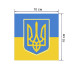 Флаг Украины с гербом 10см*10см